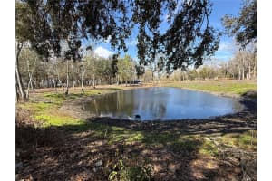 6001 FIVE ACRE ROAD, PLANT CITY, FL 33565 - MLS#MFRTB8477262