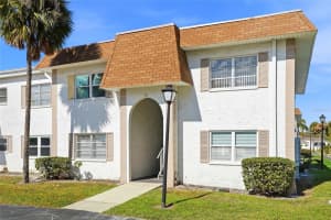 359 MCMULLEN BOOTH ROAD, CLEARWATER, FL 33759 - MLS#MFRTB8477277
