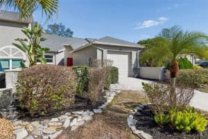 115 STEEPLECHASE LANE, PALM HARBOR, FL 34684 - MLS#MFRTB8477280