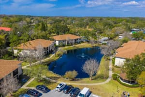 3301 CRYSTAL COURT, PALM HARBOR, FL 34685 - MLS#MFRTB8477314