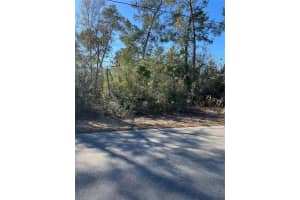 0 PITCAIRN STREET, BROOKSVILLE, FL 34613 Sold 03/25/26