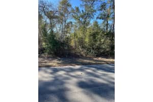 0 PITCAIRN STREET, BROOKSVILLE, FL 34613 Sold 03/25/26