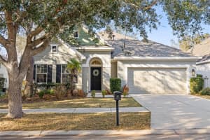 15814 STARLING WATER DRIVE, LITHIA, FL 33547 - MLS#MFRTB8477351