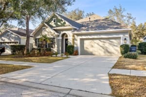 15814 STARLING WATER DRIVE, LITHIA, FL 33547 - MLS#MFRTB8477351