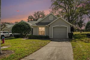 9124 BASSETT LANE, NEW PORT RICHEY, FL 34655 - MLS#MFRTB8477384