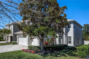 517 HARBOR GROVE CIRCLE, SAFETY HARBOR, FL 34695 - MLS#MFRTB8477394