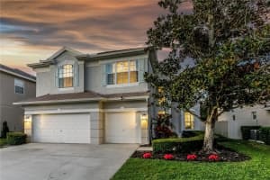 517 HARBOR GROVE CIRCLE, SAFETY HARBOR, FL 34695 - MLS#MFRTB8477394