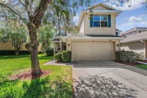 9092 Iron Oak Ave, TAMPA