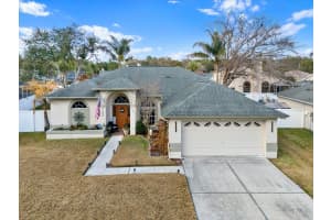 9656 FOX HEARST ROAD, TAMPA, FL 33647 - MLS#MFRTB8477464