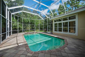 2270 CHRISTY LANE, OLDSMAR, FL 34677 - MLS#MFRTB8477474