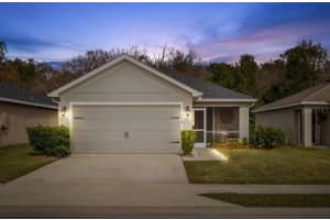 979 PEARLY RIDGE LANE, LAKELAND, FL 33809 - MLS#MFRTB8477489