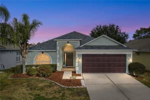 31137 Whinsenton Dr, WESLEY CHAPEL