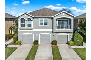8810 Moonlit Meadows Loop, RIVERVIEW