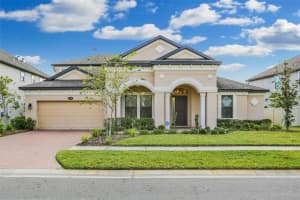 19426 WHISPERING BROOK DRIVE, TAMPA, FL 33647 - MLS#MFRTB8477560