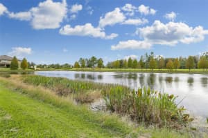 19426 WHISPERING BROOK DRIVE, TAMPA, FL 33647 - MLS#MFRTB8477560