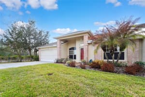 1031 ALMONDWOOD DRIVE, TRINITY, FL 34655 - MLS#MFRTB8477567