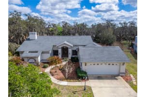 2910 PINE CLUB DRIVE, PLANT CITY, FL 33566 - MLS#MFRTB8477570