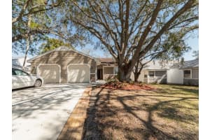 269 Petrea Dr, PALM HARBOR