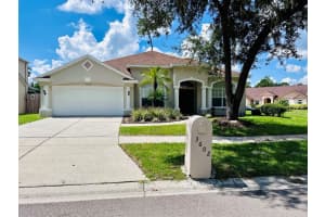 3602 Elk Ridge Ln, VALRICO