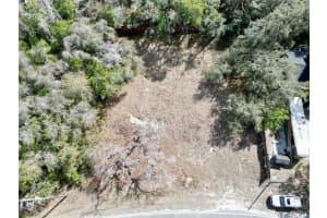 9950 LAKE DRIVE, NEW PORT RICHEY, FL 34654 - MLS#MFRTB8477615