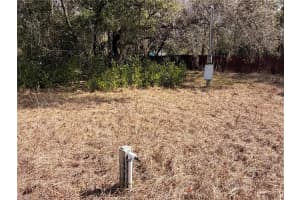 9950 LAKE DRIVE, NEW PORT RICHEY, FL 34654 - MLS#MFRTB8477615