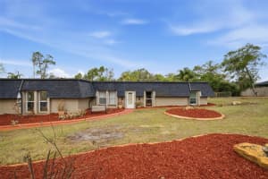 MLS# MFRTB8477617, New Port Richey, Florida 34654