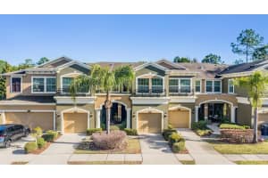 12537 SILVERDALE STREET, TAMPA, FL 33626 - MLS#MFRTB8477653
