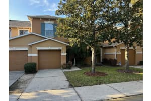 4510 Limerick Dr, TAMPA