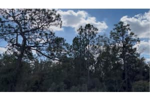 12270 PEACEFUL AVENUE, WEEKI WACHEE, FL 34614 - MLS#MFRTB8477660