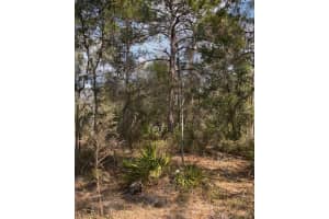 12270 PEACEFUL AVENUE, WEEKI WACHEE, FL 34614 - MLS#MFRTB8477660