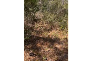 12270 PEACEFUL AVENUE, WEEKI WACHEE, FL 34614 - MLS#MFRTB8477660