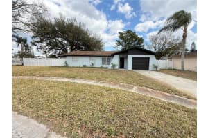 14109 Lonewood Pl, TAMPA 14109 Lonewood Pl, TAMPA