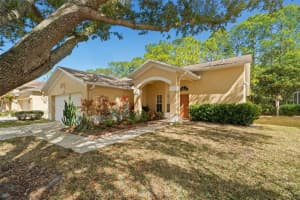 1727 Bayhill Dr, OLDSMAR 1727 Bayhill Dr, OLDSMAR
