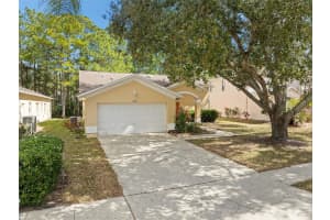 1727 BAYHILL DRIVE, OLDSMAR, FL 34677 - MLS#MFRTB8477680