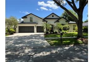 15106 KESTRELRISE DRIVE, LITHIA, FL 33547 - MLS#MFRTB8477706