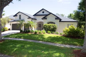 15106 KESTRELRISE DRIVE, LITHIA, FL 33547 - MLS#MFRTB8477706