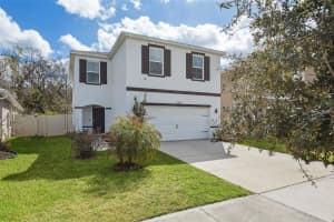 32871 BROOKS HAWK LANE, WESLEY CHAPEL, FL 33543 - MLS#MFRTB8477768