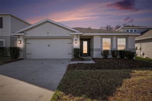 18400 Hunters Meadow Walk, LAND O LAKES 18400 Hunters Meadow Walk, LAND O LAKES