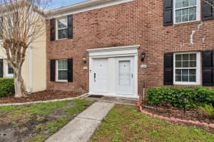 13747 JUNIPER BLOSSOM DRIVE, TAMPA, FL 33618 - MLS#MFRTB8477820