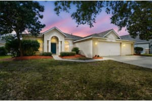 2706 Valencia Grove Dr, VALRICO