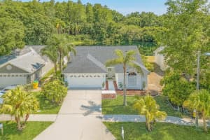3048 Jodi Ln, PALM HARBOR
