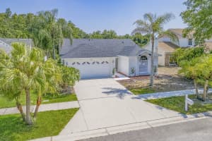3048 JODI LANE, PALM HARBOR, FL 34684 - MLS#MFRTB8477837