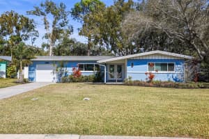 1042 Idlewild Dr N, DUNEDIN