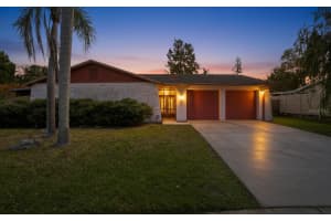 7111 Halifax Ct, TAMPA 7111 Halifax Ct, TAMPA