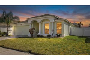 30428 RANDALL MANOR STREET, WESLEY CHAPEL, FL 33545 - MLS#MFRTB8477882