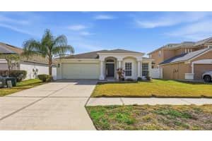 30428 RANDALL MANOR STREET, WESLEY CHAPEL, FL 33545 - MLS#MFRTB8477882