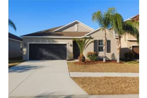 11723 Winterset Cove Dr, RIVERVIEW