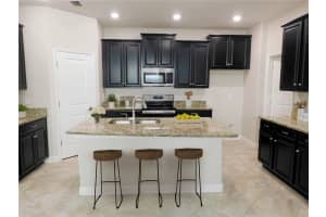 11723 WINTERSET COVE DRIVE, RIVERVIEW, FL 33579 - MLS#MFRTB8477889