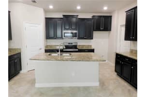 11723 WINTERSET COVE DRIVE, RIVERVIEW, FL 33579 - MLS#MFRTB8477889