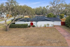 18709 Lake Commiston Dr, LUTZ